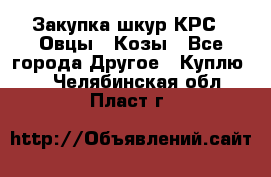 Закупка шкур КРС , Овцы , Козы - Все города Другое » Куплю   . Челябинская обл.,Пласт г.